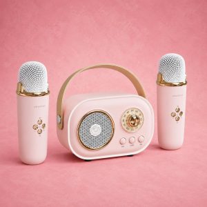 Portable Karaoke Wireless Bluetooth Speaker With Microphone