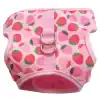 Fruit Print Cat Harness & Leash Set - Image 3