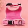 Fruit Print Cat Harness & Leash Set