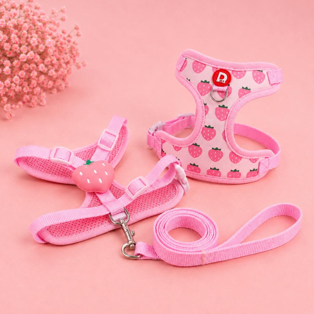Fruit Print Pet Harness & Leash Set